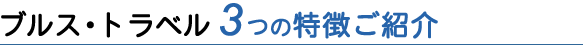 ブルス・トラベル 3つの特徴ご紹介