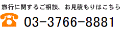 電話番号：03-3766-8881